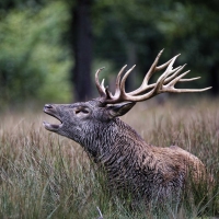 jack-Cerf-St-Croix_DxO
