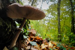 Joris_DSC06163-1