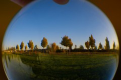 Virginie_bulle4