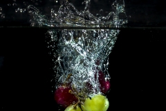 MG_3516-LR